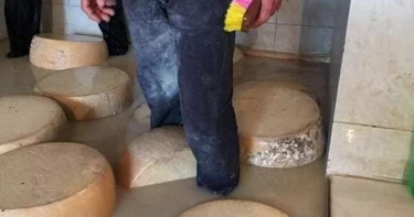 الجبن الرومي القديم