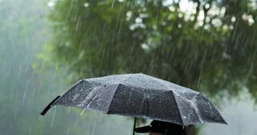 الأرصاد: شبورة مائية كثيفة وأمطار تضرب البلاد غدًا