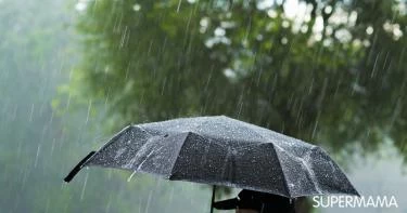 الأرصاد: شبورة مائية كثيفة وأمطار تضرب البلاد غدًا