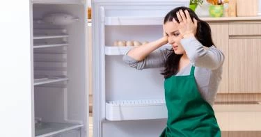 الثلاجة لا تبرد والفريزر لا يجمد