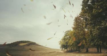 الأرصاد تحذر: رياح وعواصف وأمطار لمدة 3 أيام