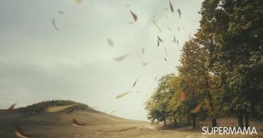 الأرصاد تحذر: رياح وعواصف وأمطار لمدة 3 أيام