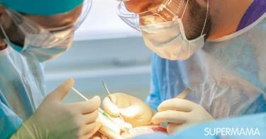 زراعة الشعر في تونس