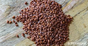 حب الرشاد للحمل