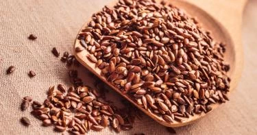 أضرار حب الرشاد