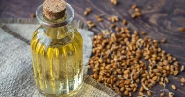 فوائد زيت جنين القمح للمنطقة الحساسة