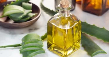 فوائد زيت الصبار للشعر