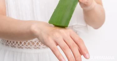 فوائد الصبار للجسم