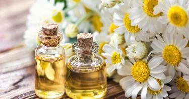 استخدام زيت البابونج للشعر