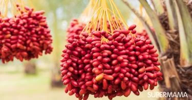فوائد البلح الأحمر