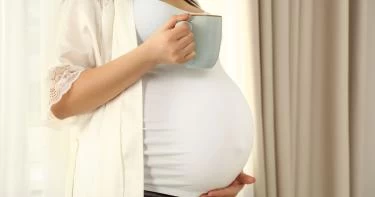 الأعشاب المضرة للحامل
