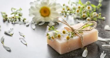صابونة البابونج