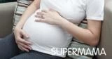 أضرار الشيح على الحامل
