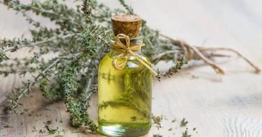 فوائد الزعتر للشعر