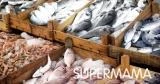 انواع السمك للاكل