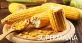 تناول الذرة خلال الحمل