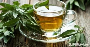 فوائد الميرمية للحمل بتوأم