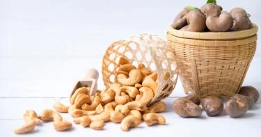 فوائد الكاجو للحامل