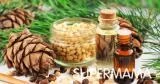 فوائد الصنوبر للشعر