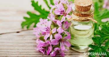 فوائد عشبة العطرة