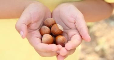 فوائد البندق للأطفال