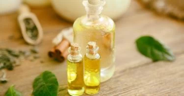 زيت شجرة الشاي للقمل