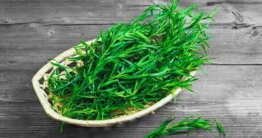 استعمالات الطرخون في الطبخ