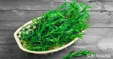 استعمالات الطرخون في الطبخ