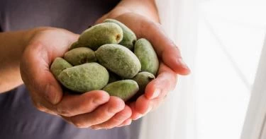 طريقة حفظ اللوز الأخضر