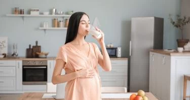 هل يمكن شرب حليب الأبل للحامل بأمان