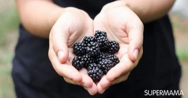 5 فوائد للتوت الأسود