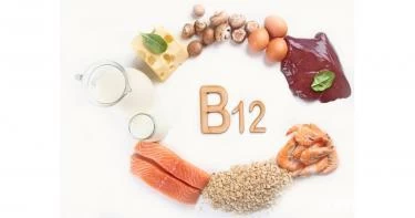 أين يوجد فيتامين b12؟