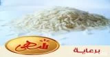 المختصر اللذيذ عن الأرز