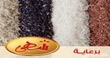 كيف تختاري نوع اﻷرز المناسب لوجباتك؟ 