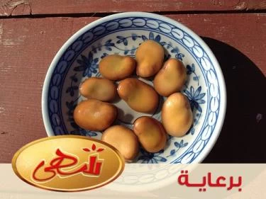 تغذية