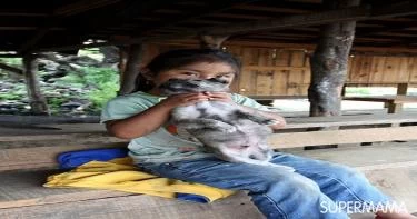 تغذية وصحة الأطفال