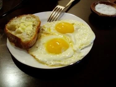 تغذية