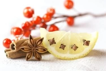 طرق إبعاد الذباب عن الطعام
