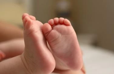 تغذية وصحة الصغار