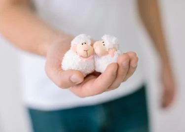 مشغولات