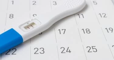 الحمل في الشهر الأول من الزواج
