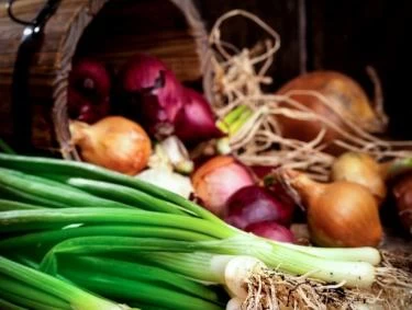 فوائد البصل - أمراض يعالجها البصل
