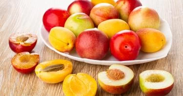 وصفات المشمش والبرقوق