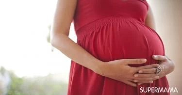 كيف تبدأ تربية الجنين من الرحم