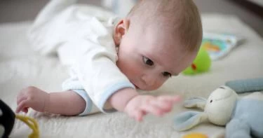 نمو الدماغ عند الرضع