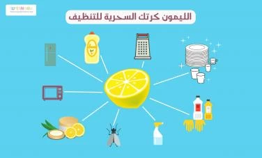 تنظيف وتنظيم