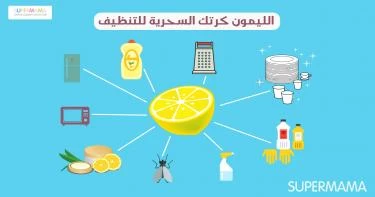 تنظيف وتنظيم
