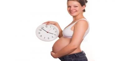 أنواع حمالات الصدر للحامل