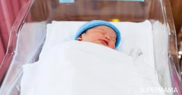 الولادة