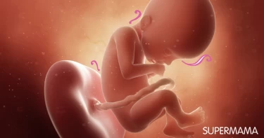 أسباب التفاف الحبل السري حول عنق الجنين